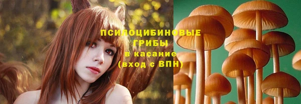 2c-b Алексин