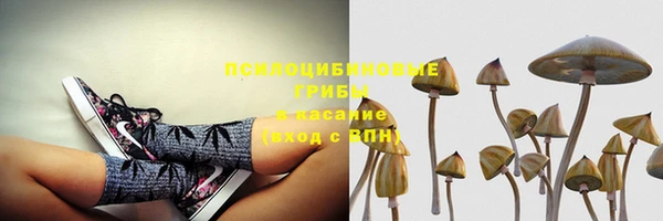 2c-b Алексин