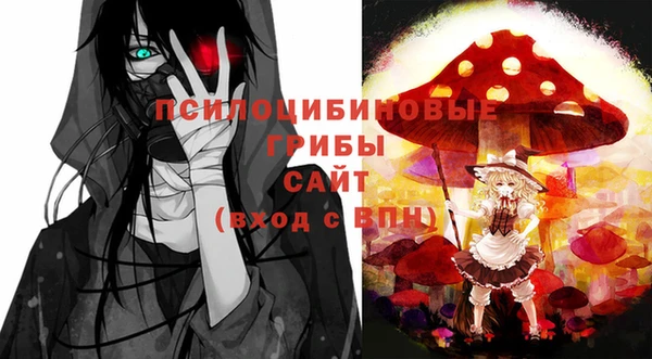 2c-b Алексин