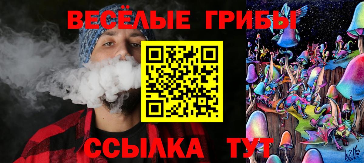 Чебоксары  цены   Вход с VPN  Галлюциногенные грибы Cubensis 